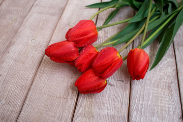 red tulips