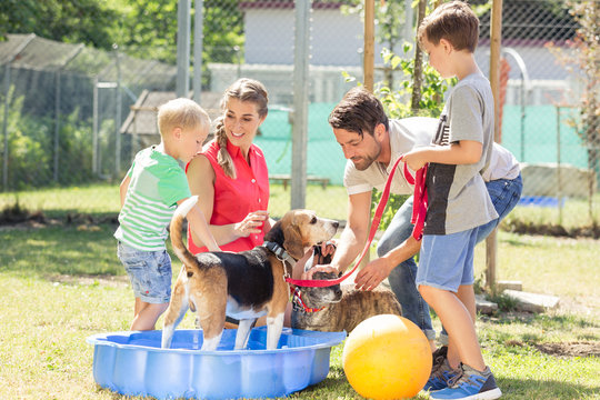 Familie spielt mit einem Hund aus dem Tierheim 