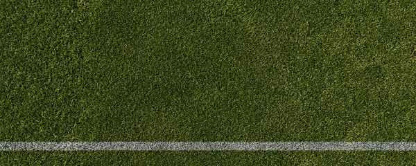 Stadionrasen aus Vogelperspektive