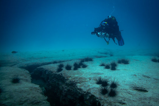 underwater photographer