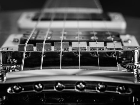 Electric guitar elements, strings, pickups black and white macro.