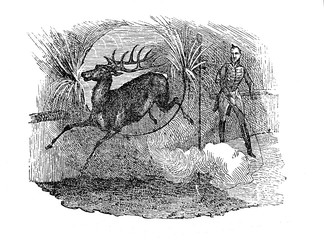 Trained deer (from Das Heller-Magazin, June 21, 1834) 