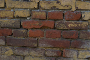 Fototapeta premium Brick wall, texture