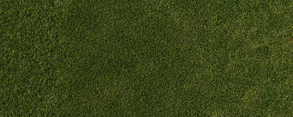 Rasen aus Vogelperspektive