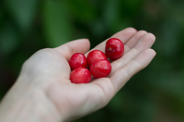 cherry in the palm of your hand female