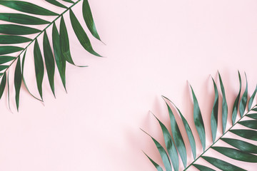 Tropical palm leaves on pastel pink background. Summer concept. Flat lay, top view, copy space