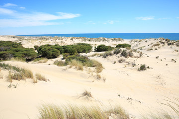 Scenic Coto de Donana National Park in the Province Huelva, Andalusia, Costa de la Luz, Spain