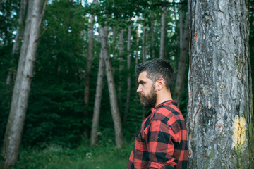 Naklejka na ściany i meble Brutal man with stylish beard and mustache wandering in woods. Side view lumberjack walking around forest. Environment, nature and leisure activity concept