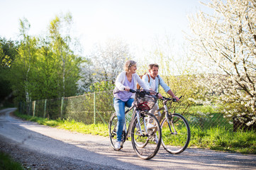 Naklejka premium Senior couple with bicycles outside in spring nature.