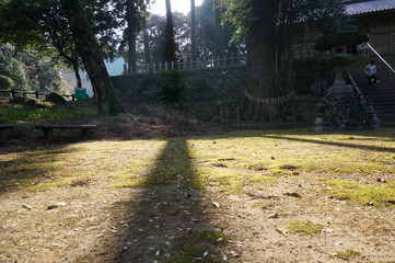 光と風景