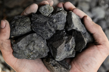 Coal miner in the man hands of coal background. Coal mining or energy source, environment protection. Industrial coals. Volcanic rock.