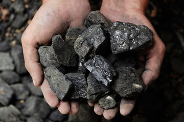 Coal miner in the man hands of coal background. Coal mining or energy source, environment protection. Industrial coals. Volcanic rock.