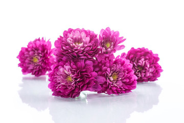 bouquet of beautiful chrysanthemums