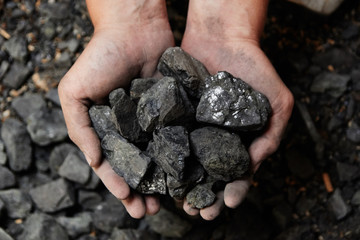 Coal miner in the man hands of coal background. Coal mining or energy source, environment protection. Industrial coals. Volcanic rock.