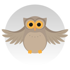 Nice owl, sit, grey background