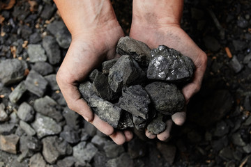 Coal miner in the man hands of coal background. Coal mining or energy source, environment protection. Industrial coals. Volcanic rock.