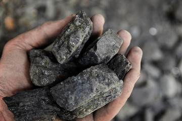 Man hand holding coal. coal mining.