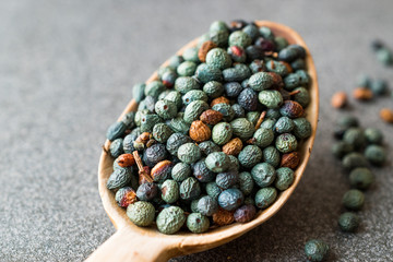Citlembik / Northern Hackberry Seeds / Terebinth Berry / Celtis Occidentalis