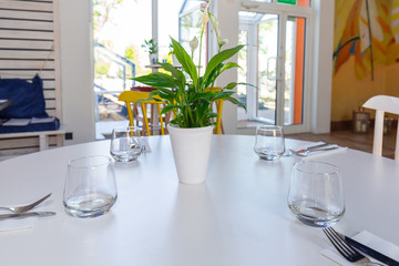 Dining table setting with decorations