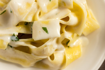 Fettuccine Pasta Plate with Creamy Alfredo Sauce