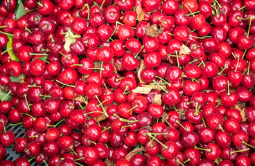 Top view of ripe red sweet cherries