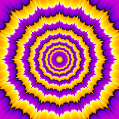 Yellow and purple flower blossom. Optical expansion illusion.