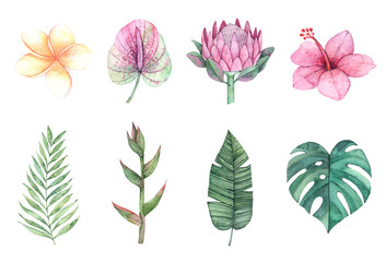 Watercolor illustrations. Green palm leaves and tropical flowers. Summer design elements. Perfect for prints, posters, invitations, greeting cards, advertising, banner etc © Kate Macate