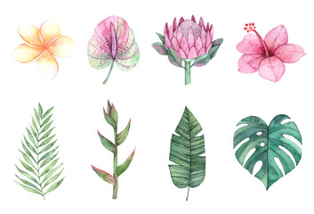 Watercolor illustrations. Green palm leaves and tropical flowers. Summer design elements. Perfect for prints, posters, invitations, greeting cards, advertising, banner etc