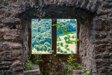 Burgfenster, Festung, Fenster verwildert 
