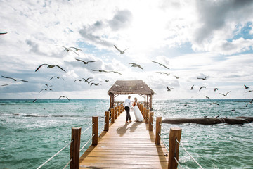 Seagulls fly over gorgeous wedding couple kissing on the wooden quay over the sea