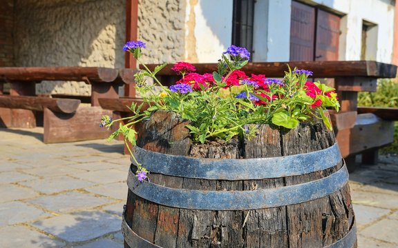 Old rustic wine barrel with flowers. Wine background in Europe. Czech Republic, South Moravia