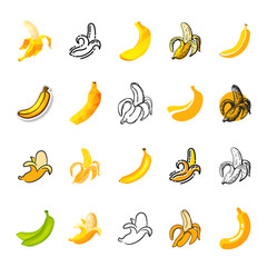 Banana vector yellow tropical fruit icon or healthy fruity snack of organic food diet illustration set of cartoon bananas and sketch isolated on white background