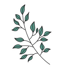 Leaves branch vector