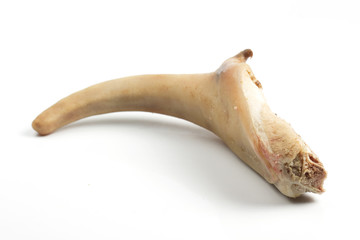 Fototapeta premium raw pig tail