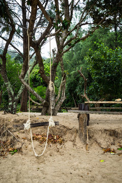 Cape Tanod - Swing
