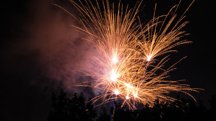 firework behind trees silhouette