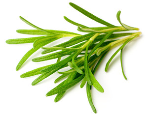 fresh herb, fresh rosemary isolated on white