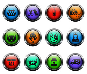 veterinary clinic vector icons on color glass buttons