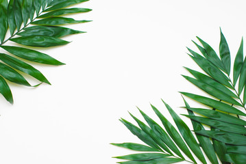 Naklejka na ściany i meble Palm Green Leaves Tropical Exotic Tree Isoalted on White Background. Holliday Patern Template