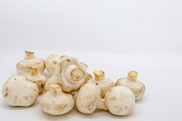 Mushrooms