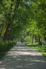 Fototapeta na wymiar sidewalk walking pavement alley path with trees in park. nature landscape. summer walk.