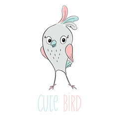 Cute bird cool print