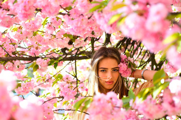 Obraz na płótnie Canvas Spring woman in cherry flower bloom. Womens day with girl in pink cherry blossom. Sakura flower beauty in nature. Skincare and summer concept. Sensual woman at blossoming sakura flower in spring