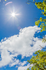 青空と雲と新緑