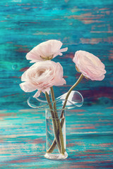 Fototapeta na wymiar Pink ranunculus flowers