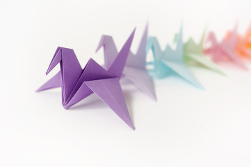 Multi-colored cranes of origami. To put a crane at a lesson of origami