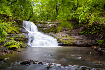 Fototapeta premium Waterfall in a forest with trees, stones and leaves on a front