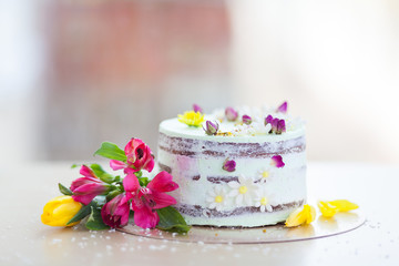 Sweet cake with live flowers decoration on a white background