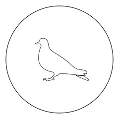 Dove icon black color in circle