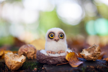 Handmade felt little owl in an autumn forest in a sunny day